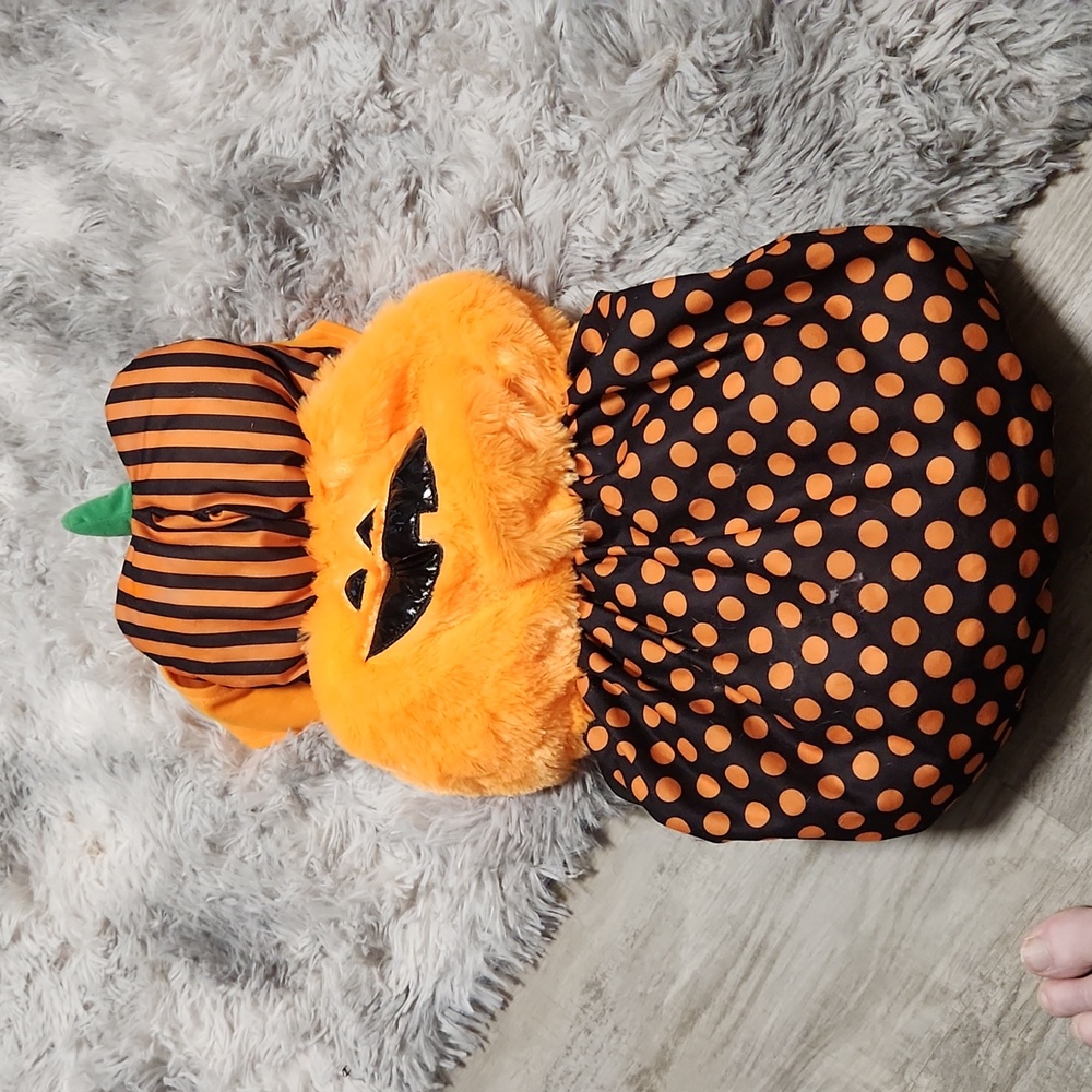 BNNT Halloween Dog pumpkin costume- medium